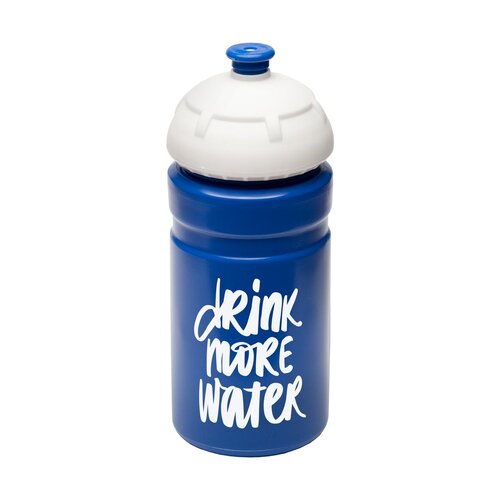 Trinkflasche "Champion" 0,55 l