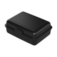 Vorratsdose SchoolBox groß