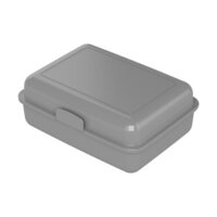 standard silber