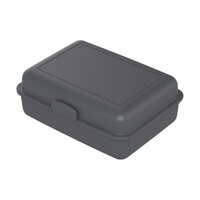 BioVorratsdose SchoolBox groß