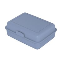 BioVorratsdose SchoolBox groß