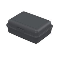BioVorratsdose PausenBox