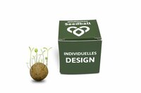 1 Seedbomb im Würfel  Bienen  Schmetterlinge