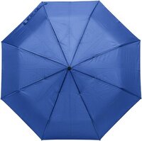Regenschirm aus Pongee-Seide Conrad