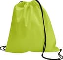 Schuh-/Rucksack (Turnbeutel) aus Non-Woven Nico