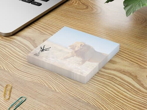 Haftnotiz Basic 72 × 72 Bestseller