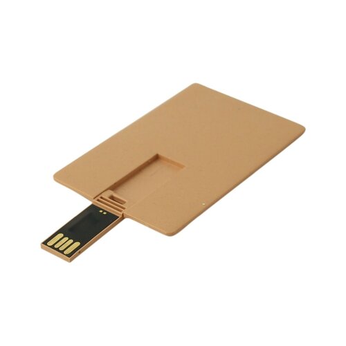 Recycling-USB-Karte Scheck