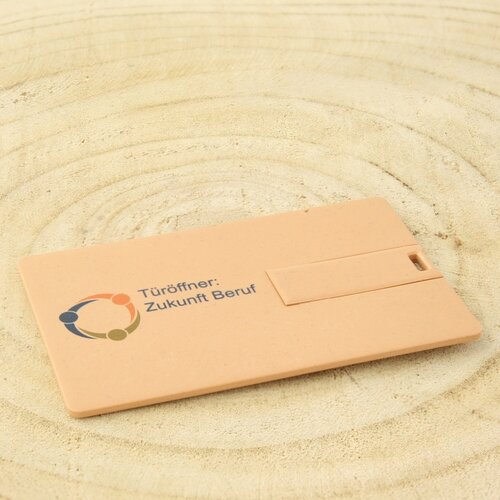 Recycling-USB-Karte Scheck