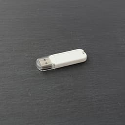 USB-Stick DenHaag – Bild 1