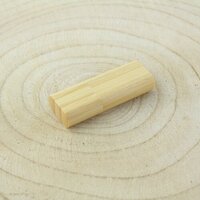 USBStick SaintMarten