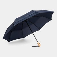 Vollautomatischer WindproofTaschenschirm CALYPSO