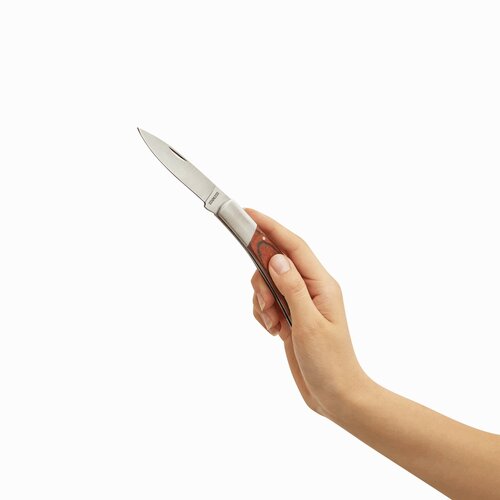 Klappmesser SURVIVOR