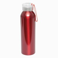 Aluminium Trinkflasche LOOPED