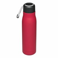 VakuumIsolierflasche ROBUSTA