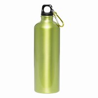 AluminiumTrinkflasche BIG TRANSIT