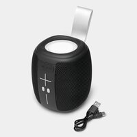 WirelessLautsprecher RESISTANT