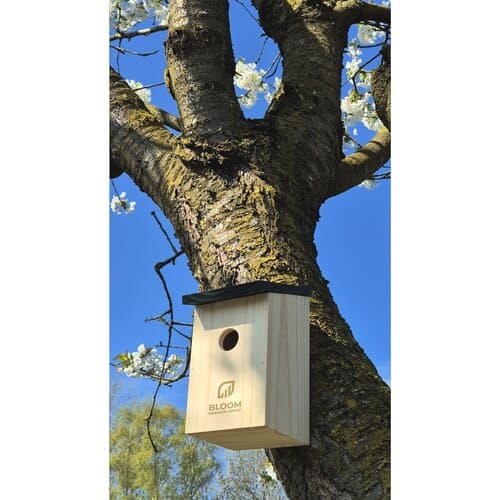 Birdhouse