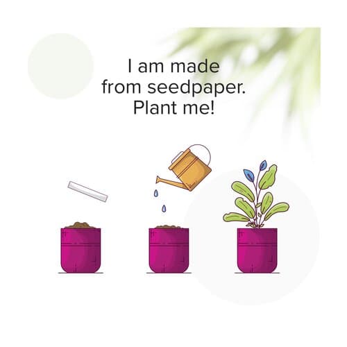 Seed Paper Festival Wristband Festivalband