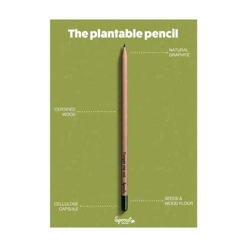 Sproutworld Sharpened Pencil Bleistifte angespitzt