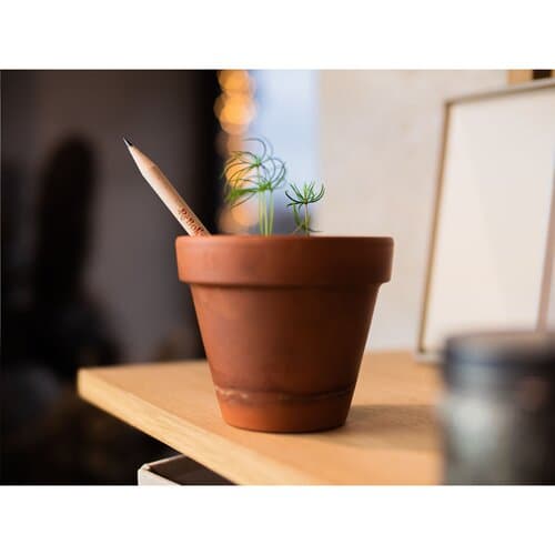 Sproutworld Sharpened Pencil Bleistifte angespitzt