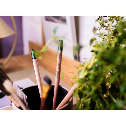 Sproutworld Unsharpened Pencil Bleisstift ungespitzt