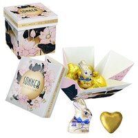 Meeting Star mit Choco Company Schokoladenherzen  1 Gubor Osterhase