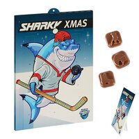 SportAdventskalender Sportmotive