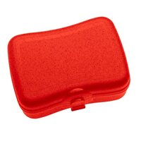 BASIC Lunchbox