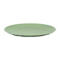 nature leaf green