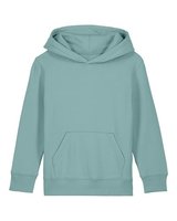 teal monstera
