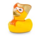 Werbeente Vicky Venedig