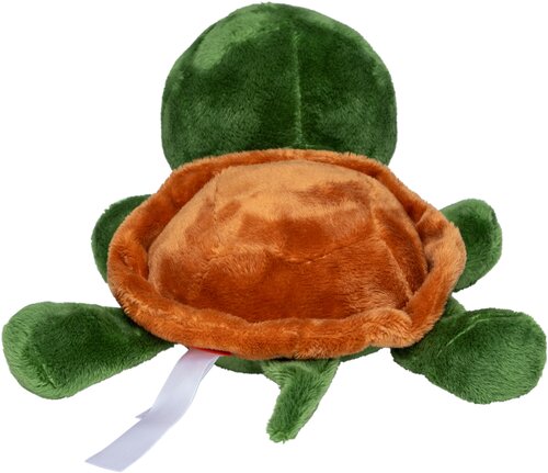 Schildkröte Lotte