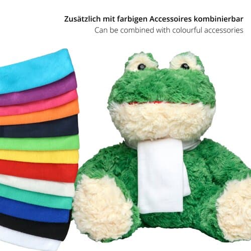 Frosch Torge
