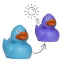 Quietsche-Ente Magic Duck mit Farbwechsel