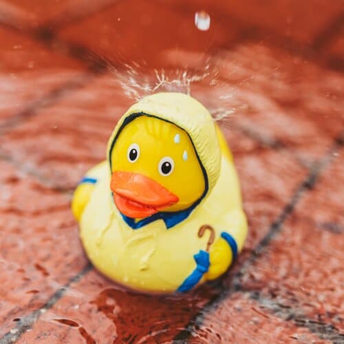 Quietsche-Ente Schlechtwetter