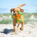 Hundespielzeug Flying Triple