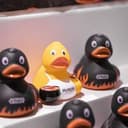 Quietsche-Ente Grillmeister mit Slogan Grillmeister