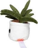 Schmoozies® Evergreenies® Aloe Vera