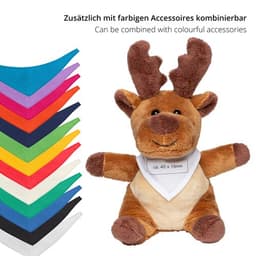 Elch Oke – Bild 4