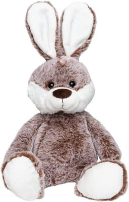 Hase Clemens – Bild 1