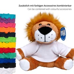 Löwe Ole – Bild 4