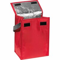 Kühltasche