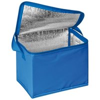 Kühltasche für 6 Dosen à 05l
