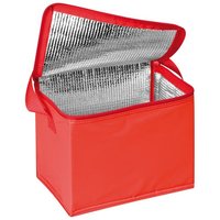 Kühltasche für 6 Dosen à 05l
