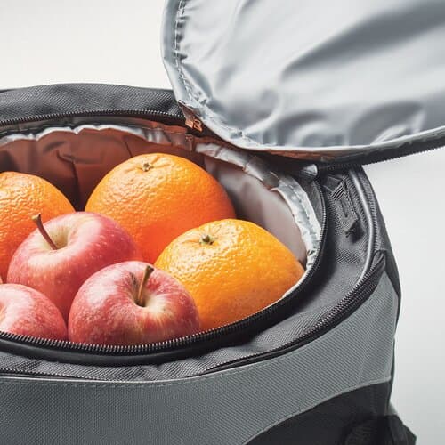 DONAU BBQ Kühltasche