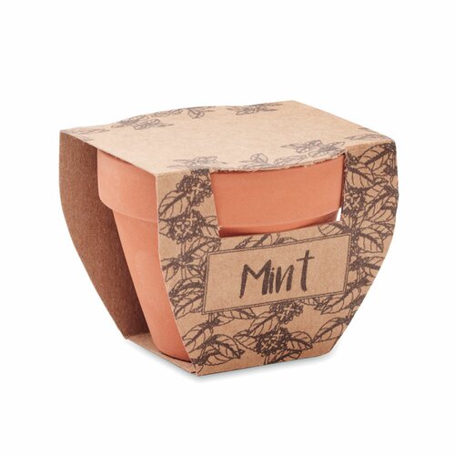 MINT POT Terrakotta-Topf Minze