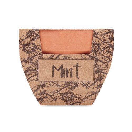 MINT POT Terrakotta-Topf Minze