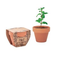 MINT POT TerrakottaTopf Minze