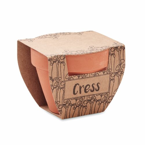 CRESS POT Terrakotta-Topf Kresse