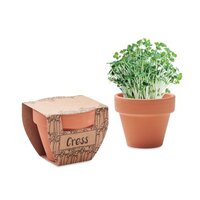 CRESS POT TerrakottaTopf Kresse